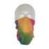 Rainbow Face Cover Neck Tube Rainbow Face Cover Neck Tube