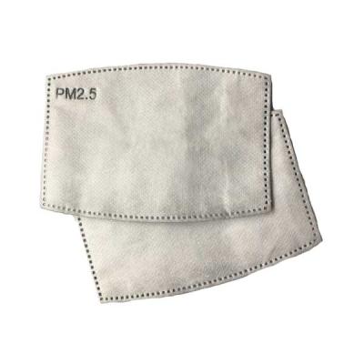 Pm 2.5 Filters - Pack of 10 Replacement Filters