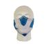 Saltire Cloth Face Mask