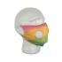 Rainbow Cloth Face Mask