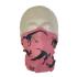 Dinosaur Face Cover Neck Tube (Child's Size) Dinosaur Face Cover Neck Tube (Child's Size)